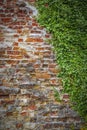 Ahus City Wall Remains Royalty Free Stock Photo